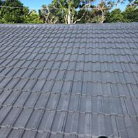 roof cleaning
