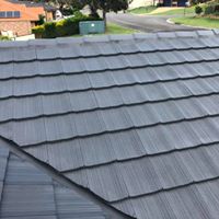 roof painting - tile roof