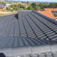 roof painting - tile roof