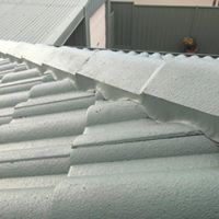 roof restoration - tile roof