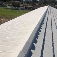 roof painting Coffs Harbour